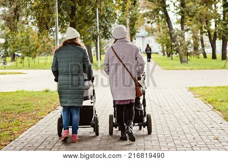 Two Young Moms Girlfriends Are Walking With Young Children In Strollers For An Autumn Park. Women On