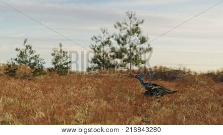 3d rendering of the field with firs