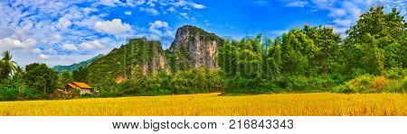 Rice field and mountains. Beautiful rural landscape. Luang Prabang. Laos. Panorama
