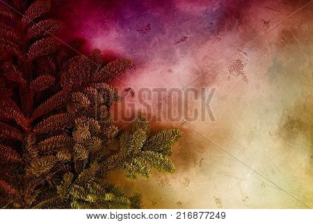 Christmas background with efresh vergreen tree banches, toned