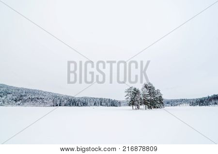 Clean view of a frozen lake with a small island with trees. Sognsvann lake in Oslo. Copy space. Inspirational peace