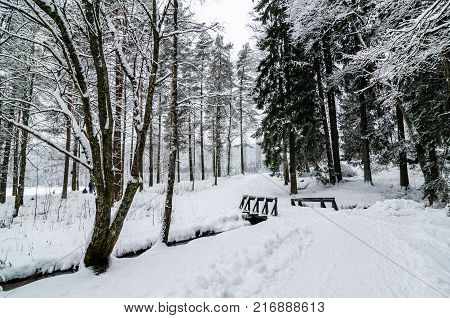 A footbridge over a small river in a snow covered forest. Sognsvann area in Oslo