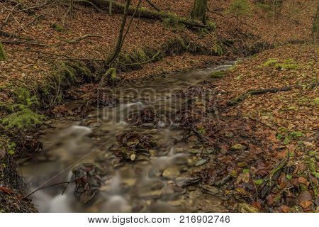 Bansky creek in autumn morning near Spania Dolina village
