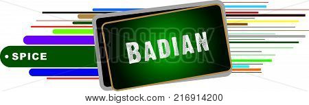 Banner for spices - Badian. Vector for creative work.