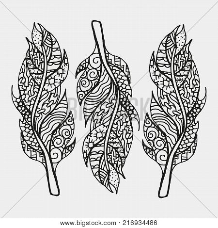 Set Of Feathers Isoltaed On White Background. Pattern For Adult Coloring Book. Hand Drawn, Ethnic, Retro, Doodle, Zentangle Design Elements. Made By Trace From Sketch. Vector Illustration