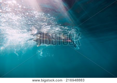 Surfer woman on surfboard, surfing in tropics