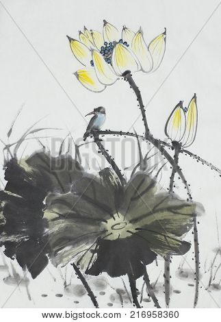 lotus flower and kingfisher painted in Chinese style
