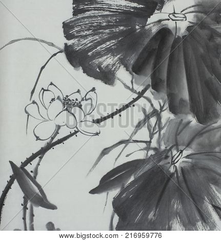 lotus flower painted in Chinese style ink