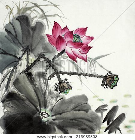 lotus flower painted in Chinese style ink