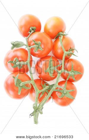Pomidory