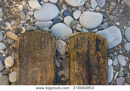 driftwood, washed up by the sea on a pebble beach on a warm summer day