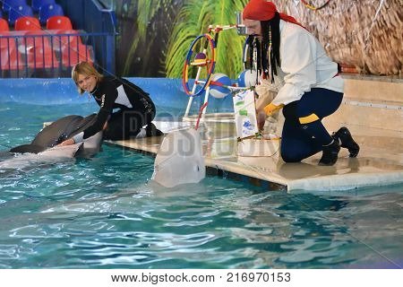 Orenburg, Russia - November 8, 2017 Year: Dolphins And Belukha (lat. Delphinapterus Leucas) In The D