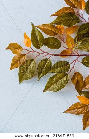 Close up aftificial tree branch against white background fall concept