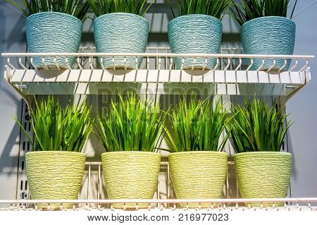 Close up several artificial plants in pots on shelf in supermarket