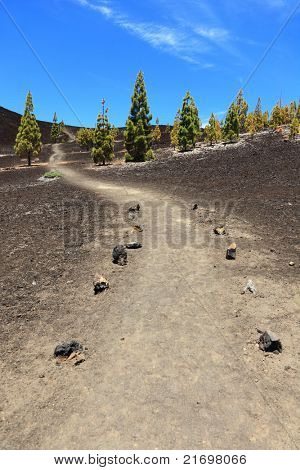 Path for hiking on Teide, Tenerife. Trail is empty. Arenas Negras, Teide, Tenerife, Canary Islands, Spain.