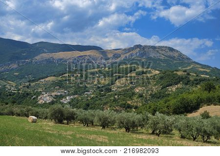 Mountain Landscape In Abruzzi At Summer