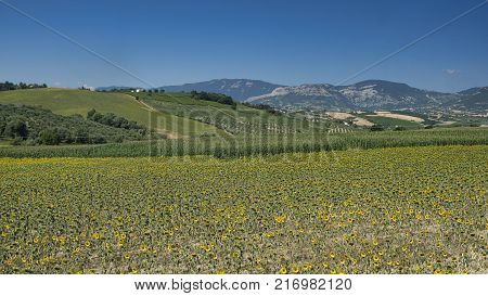 Mountain Landscape In Abruzzi At Summer