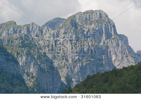 bjergtop