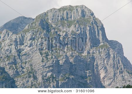 bjergtop
