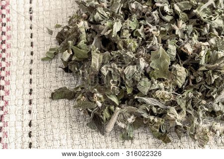 Motherwort - A Medicinal Plant With A Calming Effect