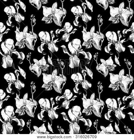 Floral Seamless Pattern With Hand Drawn Ink Iris And Orchid Flowers On Black Background. Flowers Lin