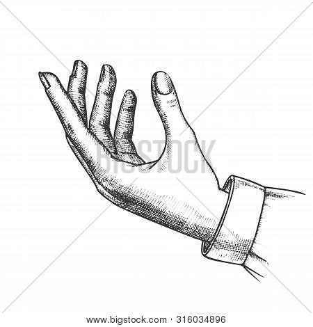 Girl Hand Gesture Holding Violin Handdrawn Vector. Woman Arm Look Playing On Musical Instrument. Fem