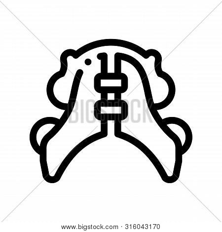 Dental Plate Stomatology Thin Line Icon. Dental Lamina, Dentist Instrument Equipment And Device Line