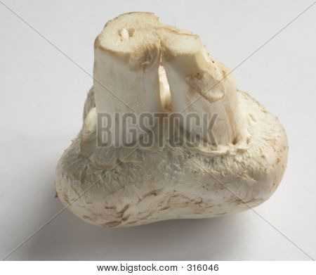Sjælden dobbelt stænglede champignon