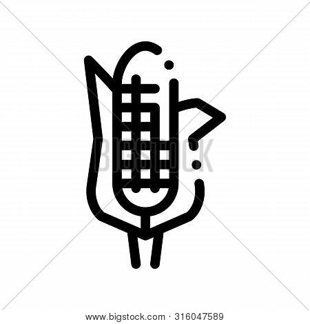 Healthy Food Vegetable Maize Vector Sign Icon Thin Line. Veggy Bio Eco Agriculture Maize Corn Linear