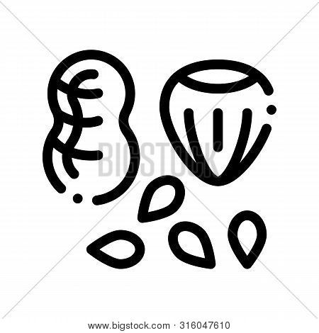 Assortment Healthy Food Nuts Thin Line Icon. Bio Eco Nuts Peanut, Filbert Hazel-nut And Seeds Linear