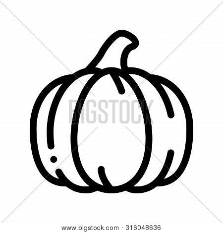 Healthy Food Vegetable Pumpkin Vector Sign Icon Thin Line. Vegetarian Bio Eco Agriculture Pumpkin Li