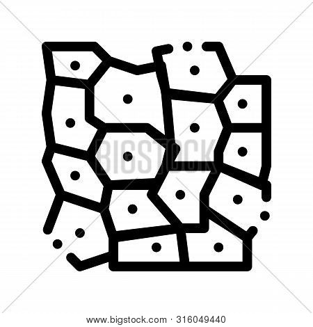 Microscopic Derm Cell Sign Thin Line Icon. Medical Healthy Human Skin Derma Cell Linear Pictogram. M
