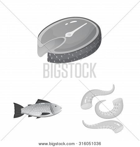 Vector Design Of Seafood And Healthy Logo. Set Of Seafood And Ocean Stock Vector Illustration.