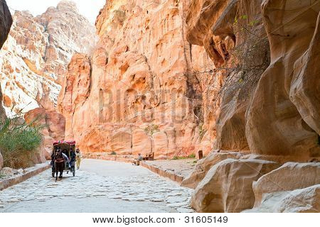 Trasporto di beduini nel Siq passaggio alla città di Petra