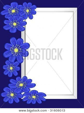 Vackra blå blommor och vit ram