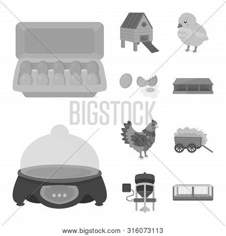 Vector Design Of Organic And Animal Symbol. Set Of Organic And Plant Stock Symbol For Web.