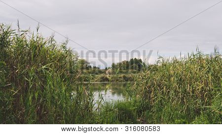 Large Lake On A Sunny Day Against The Background Of A Dense Green Forest, Nature In Russia
