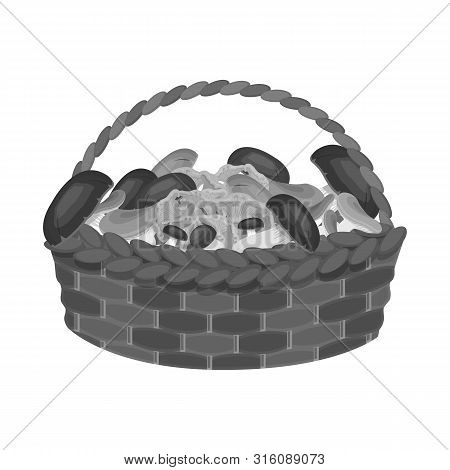 Vector Illustration Of Basket And Mushroom Sign. Set Of Basket And Picnic Stock Symbol For Web.