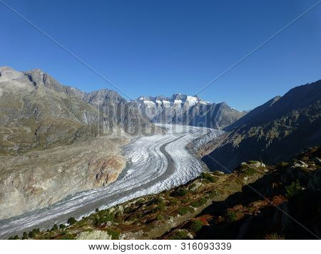 Aletsch Glacier Seen From The Riederalp In Autumn.
