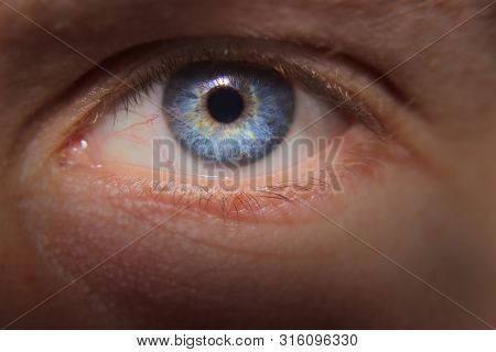 Close Up Of Male Blue Eye, Macro