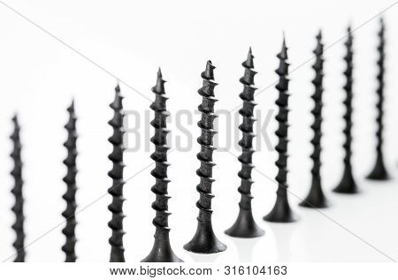 Screws Still Life Large Self Tapping Screws On White Background.