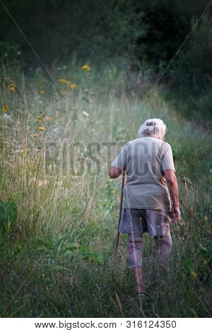 Rear View Of An Old Woman With Arthritic Feet Walking In A Grassy Meadow Leaning On A Stick As A Can