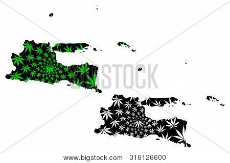 East Java (subdivisions Of Indonesia, Provinces Of Indonesia) Map Is Designed Cannabis Leaf Green An