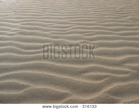 Desert Sand