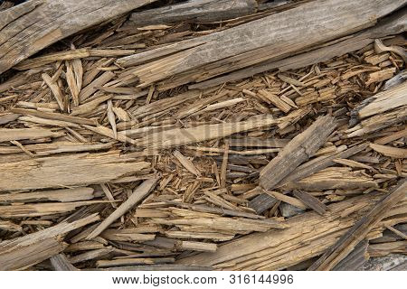 Old Wood Texture. Grunge Retro Vintage Wooden Board.