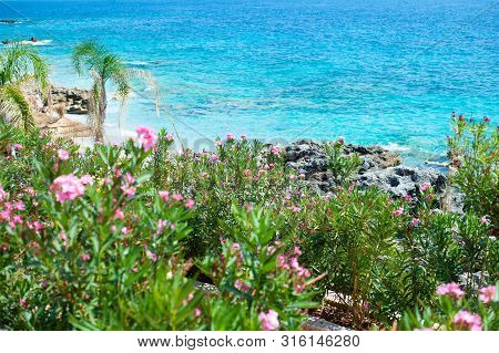 Rocky Beach And Crystal Turquoise Water Of Ionian Sea In Albania. Calm And Relaxing View With Flower
