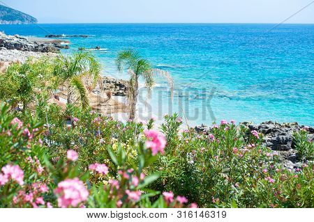 Rocky Beach And Crystal Turquoise Water Of Ionian Sea In Albania. Calm And Relaxing View With Flower