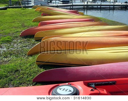 Une rangée de kayaks