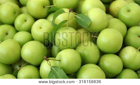 Green Plums, Fresh Plums, Sour Plums In A Container, Green And Sour Plums Close-up,