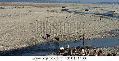 View Of Jaldapara From Running Train Near Doors On A Summer Day. Traveling To Dooars .